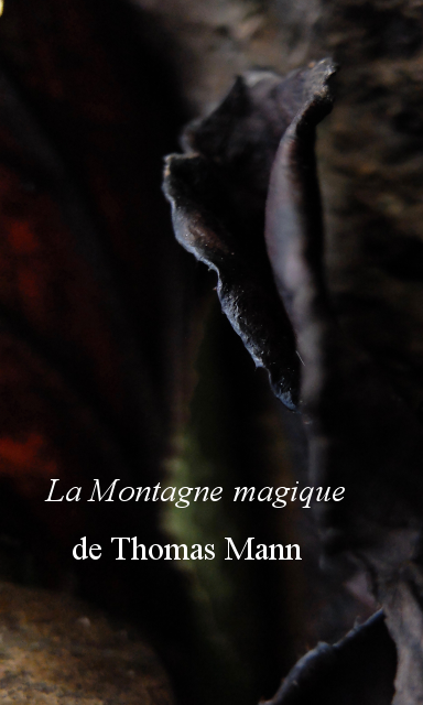 La Montagne Magique De Thomas Mann Fayard 2016