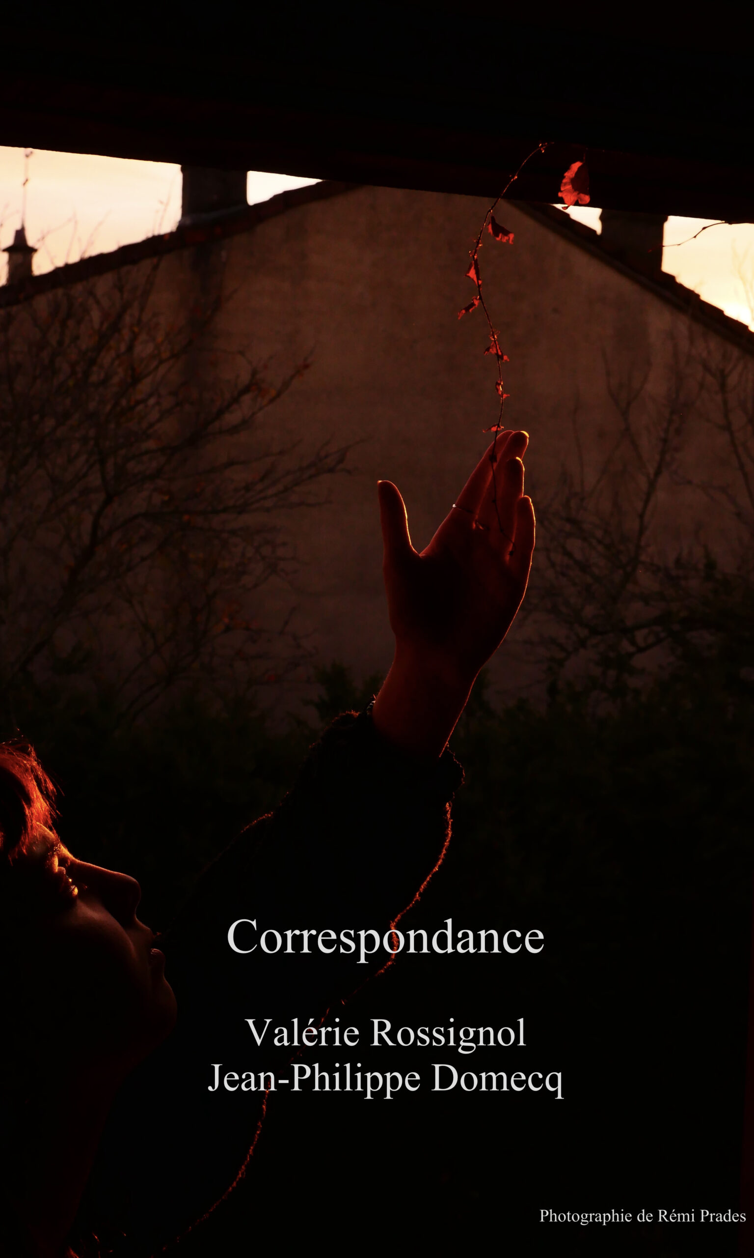 <div class="home_post_content"><div class="in_title"></div><p>Il n’y a pas d’extrait, car cette publication est protégée....</p></div><div class="home_post_cat"><a href="https://lescorpscelestes.fr/category/accueil/">Accueil</a> / <a href="https://lescorpscelestes.fr/category/textes-dauteurs/jean-philippe-domecq-textes-dauteurs/">Jean-Philippe Domecq</a> / <a href="https://lescorpscelestes.fr/category/textes-dauteurs/">Textes d'auteurs</a> / <a href="https://lescorpscelestes.fr/category/textes-dauteurs/valerie-rossignol-textes-dauteurs/">Valérie Rossignol</a></div> post image