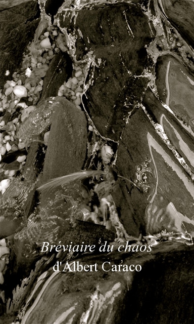 Bréviaire du chaos d&rsquo;Albert Caraco