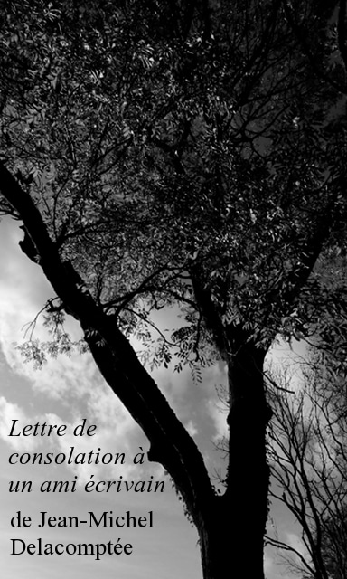 Lettre de consolation à un ami écrivain de Jean-Michel Delacomptée