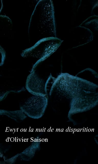 Ewyt ou la nuit de ma disparition d&rsquo;Olivier Saison