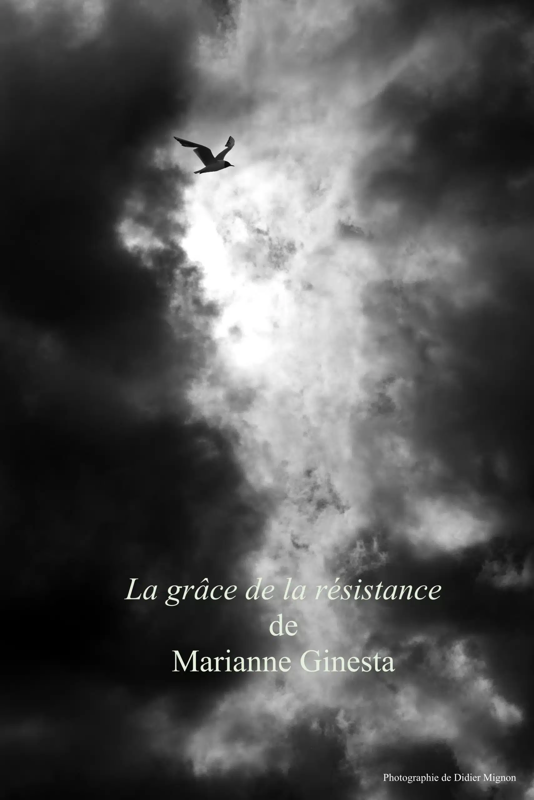 La grâce de la résistance de Marianne Ginesta