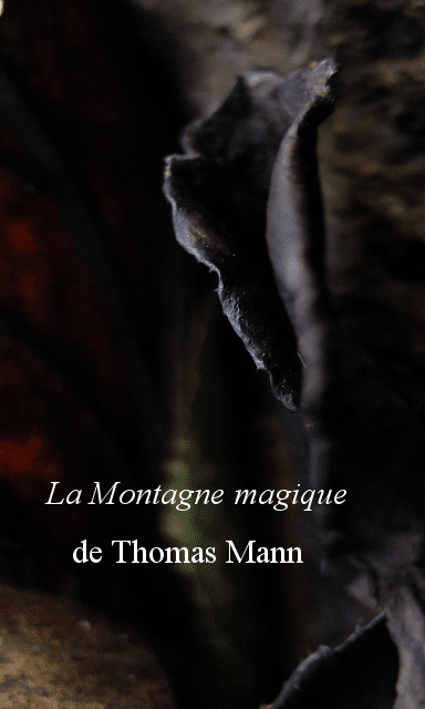 La Montagne magique de Thomas Mann