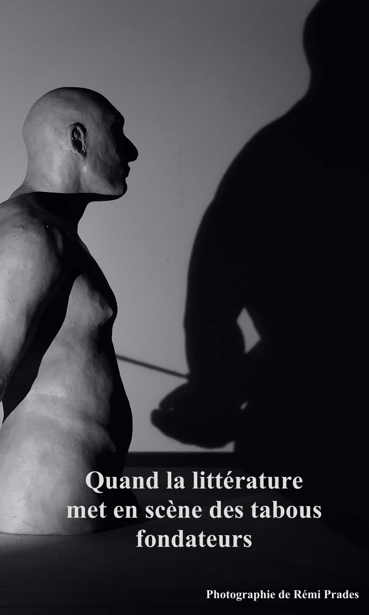 Quand la littérature met en scène des tabous fondateurs
