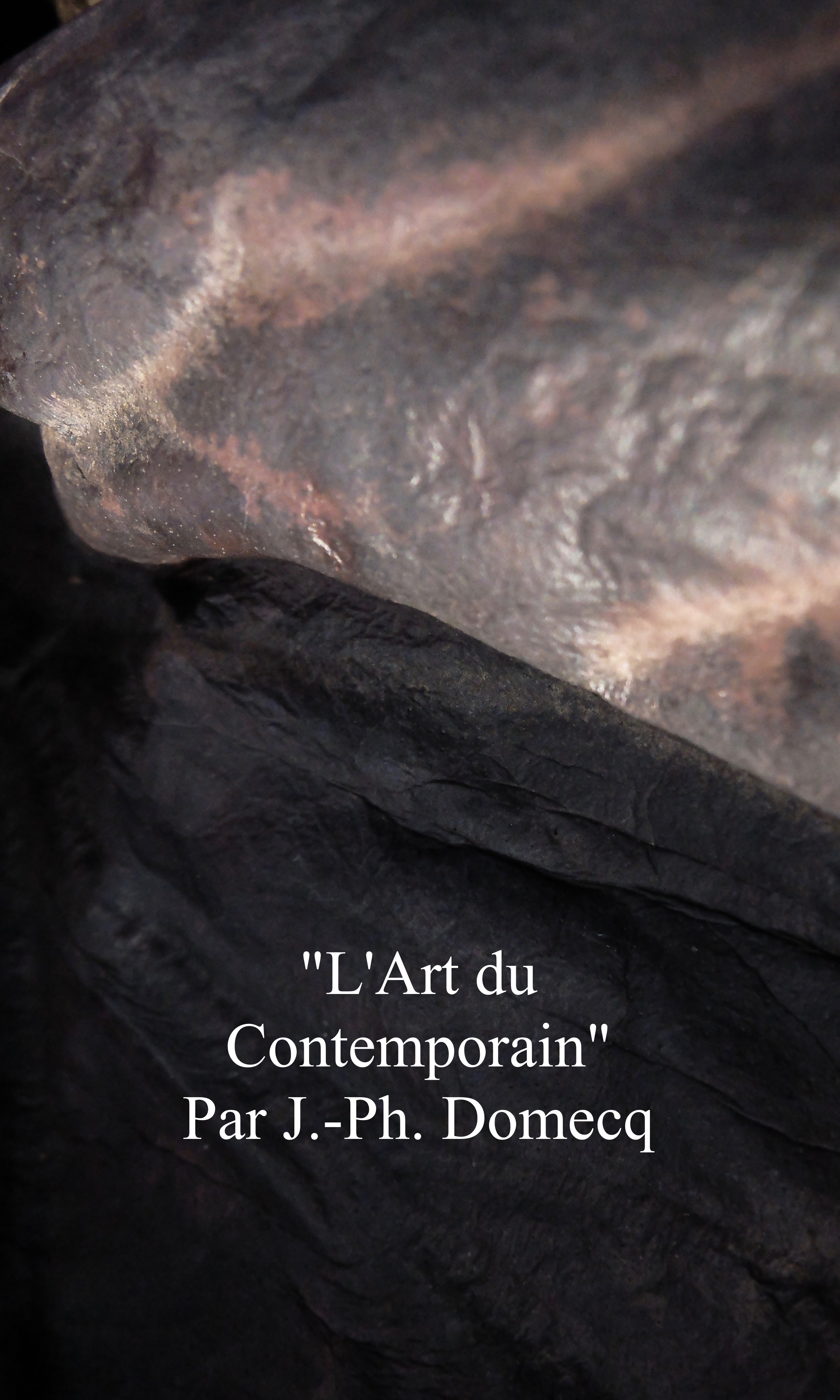 L&rsquo;Art du Contemporain par J.-Ph. Domecq