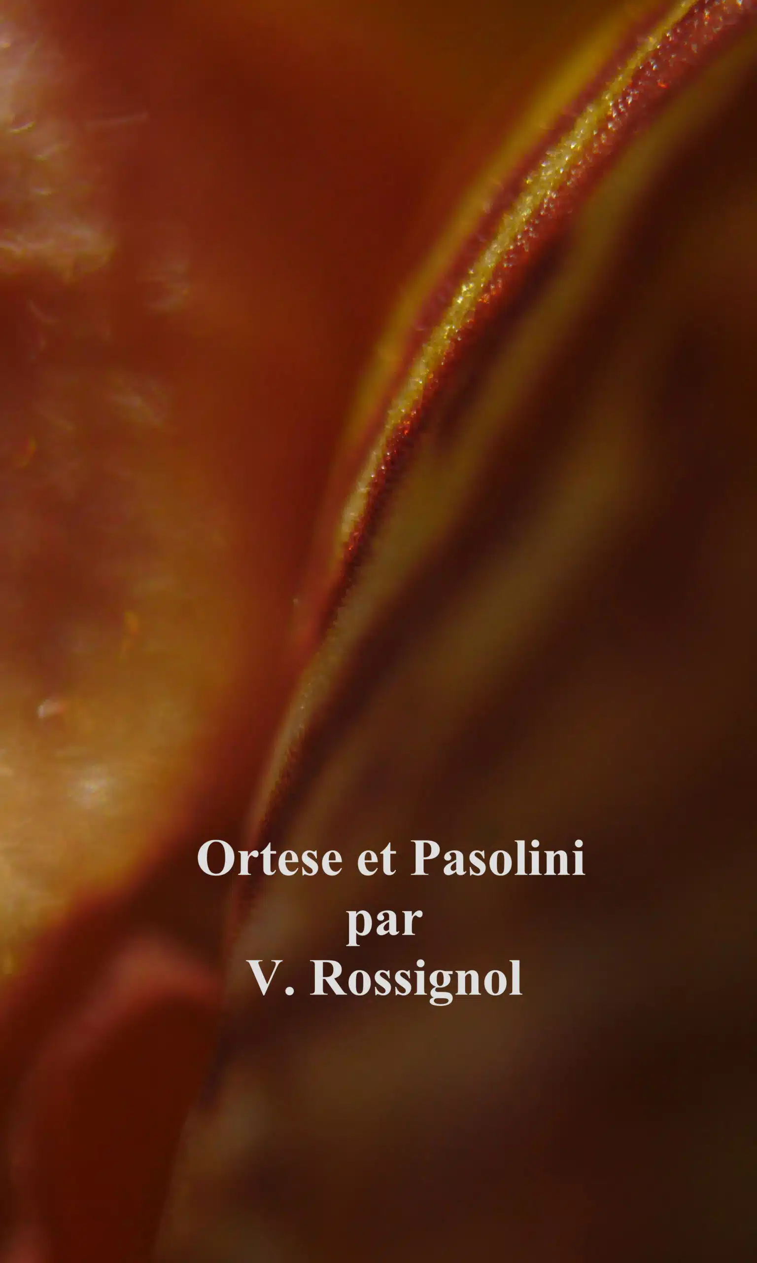 Ortese et Pasolini