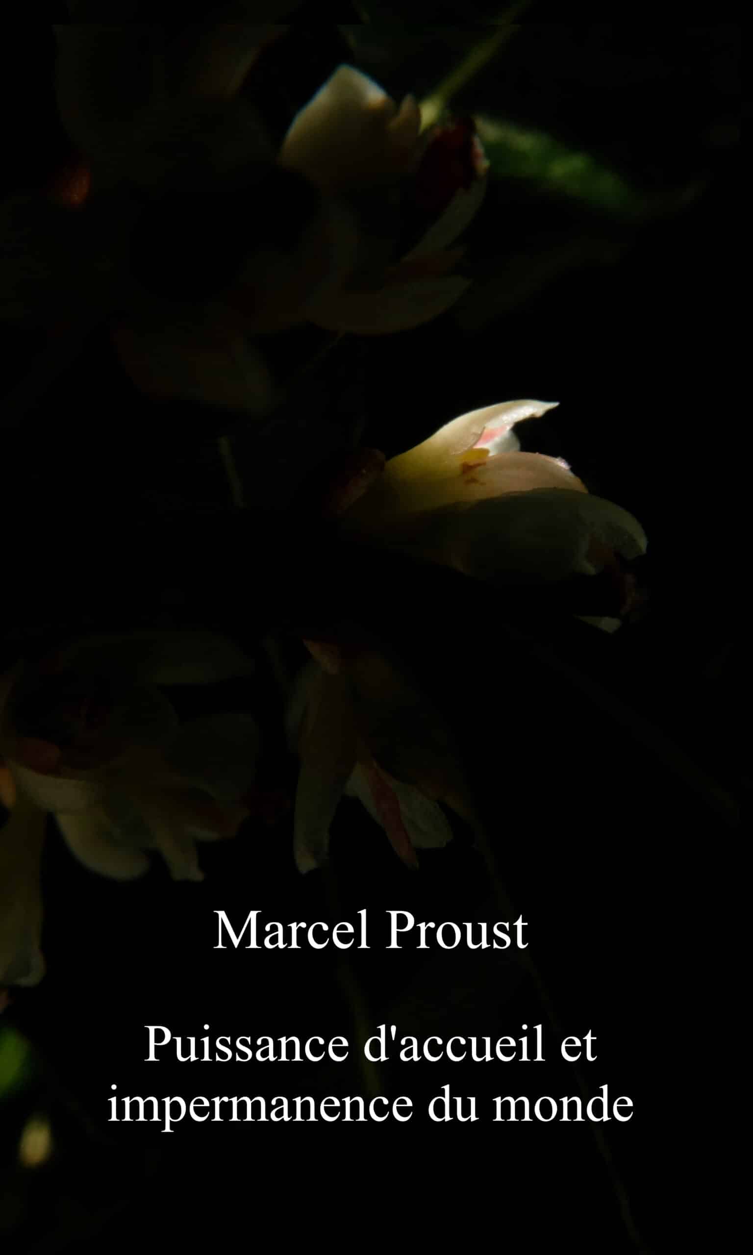 Du côté de chez Swann –  A l&rsquo;ombre des jeunes filles en fleurs  –  Marcel Proust