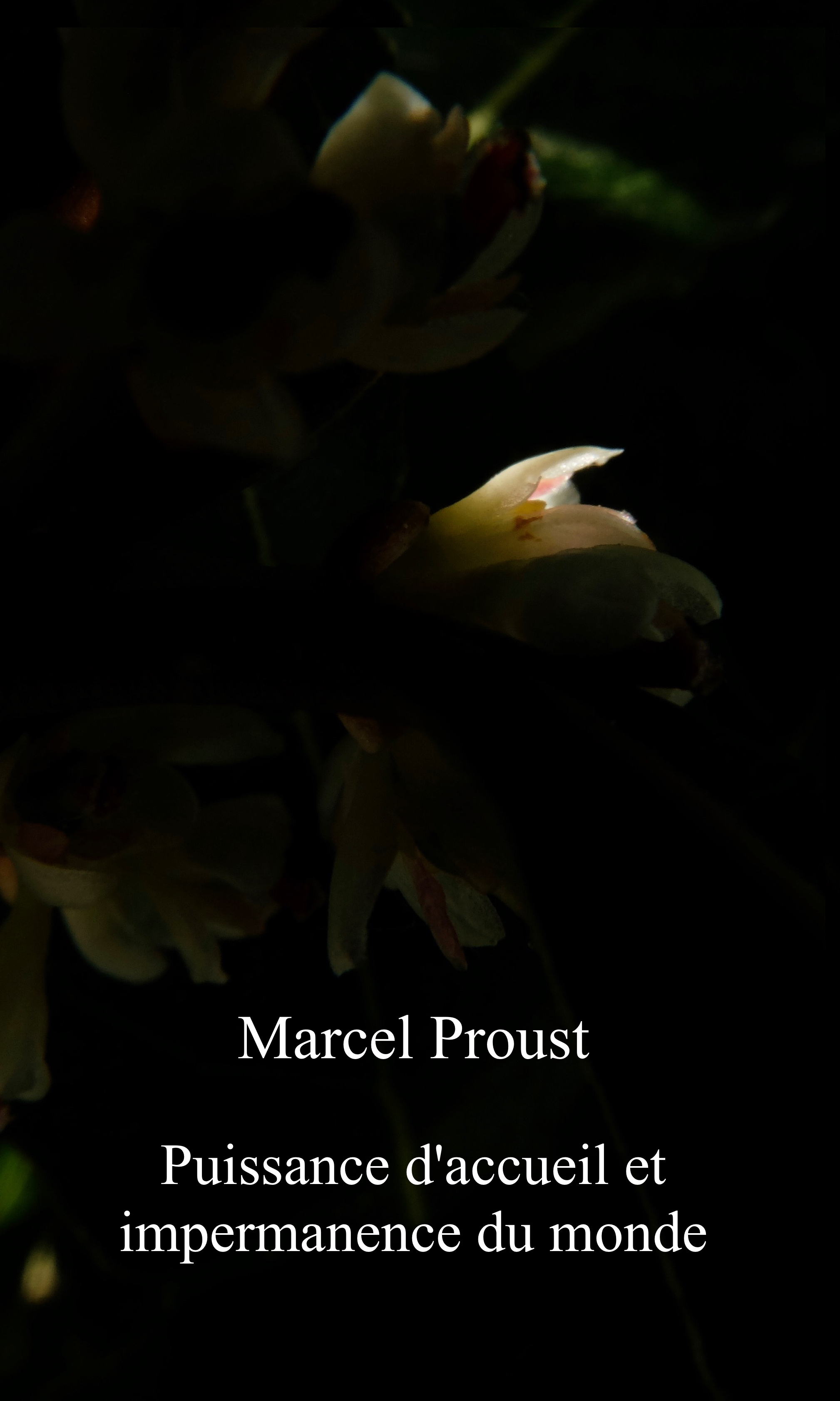 Du côté de chez Swann –  A l&rsquo;ombre des jeunes filles en fleurs  –  Marcel Proust