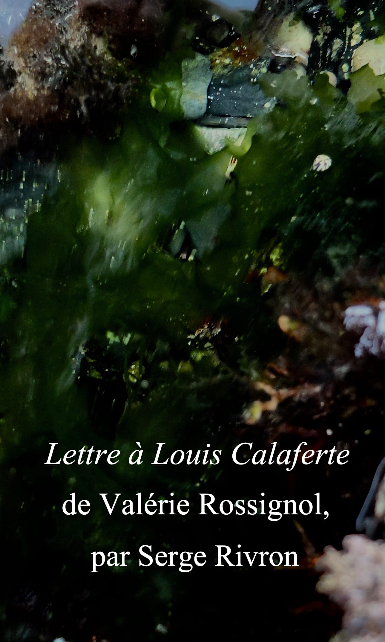 Lettre à L. Calaferte de Valérie Rossignol