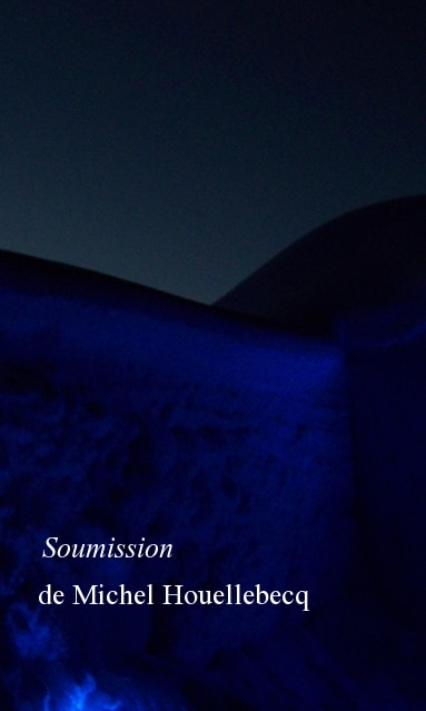 Soumission de Michel Houellebecq