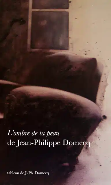 L&rsquo;ombre de ta peau de Jean-Philippe Domecq